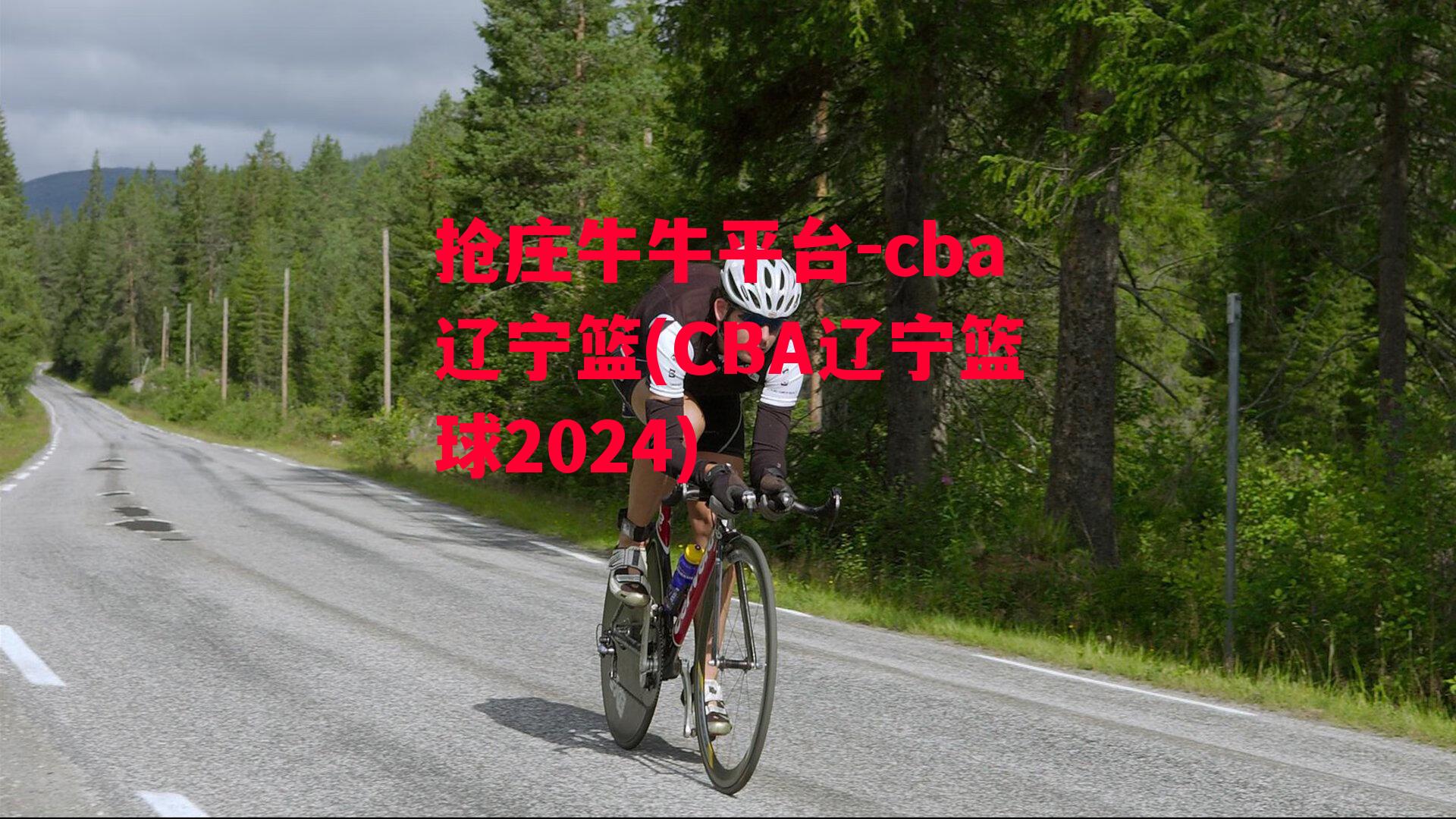 cba辽宁篮(CBA辽宁篮球2024)